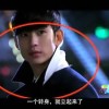 뿪+202333